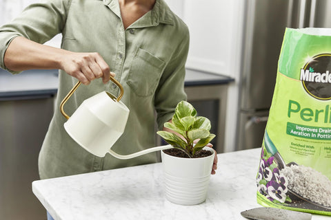 Scotts Miracle-Gro Perlite enhances drainage in container plant mixes