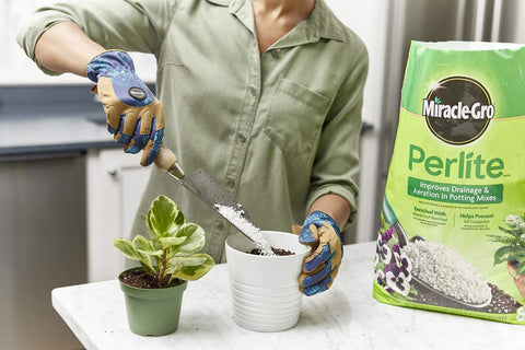 Scotts Miracle-Gro Perlite mixed with potting soil for lighter, better-draining mixes.