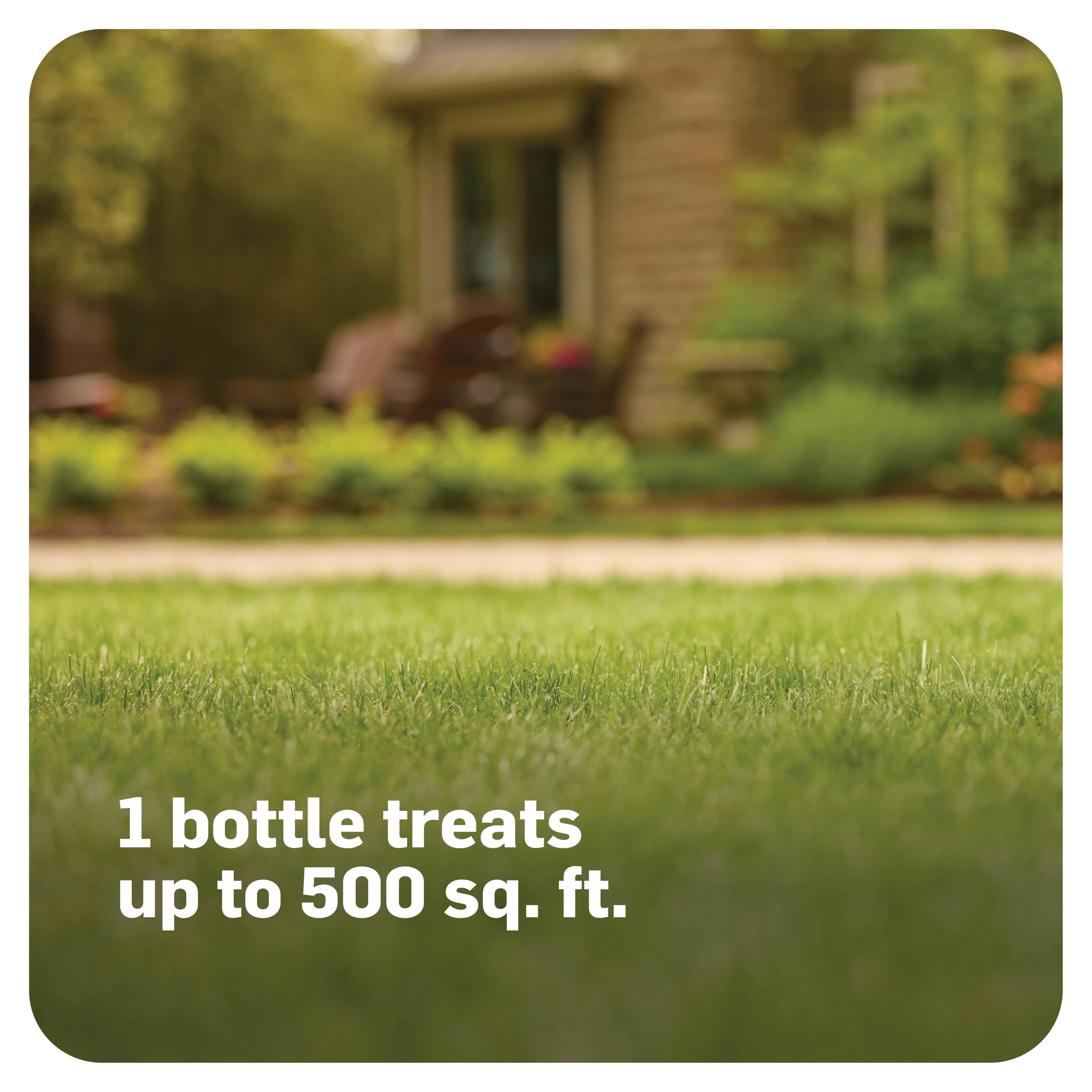 Scotts MossEx non-staining formula label highlights quick action.