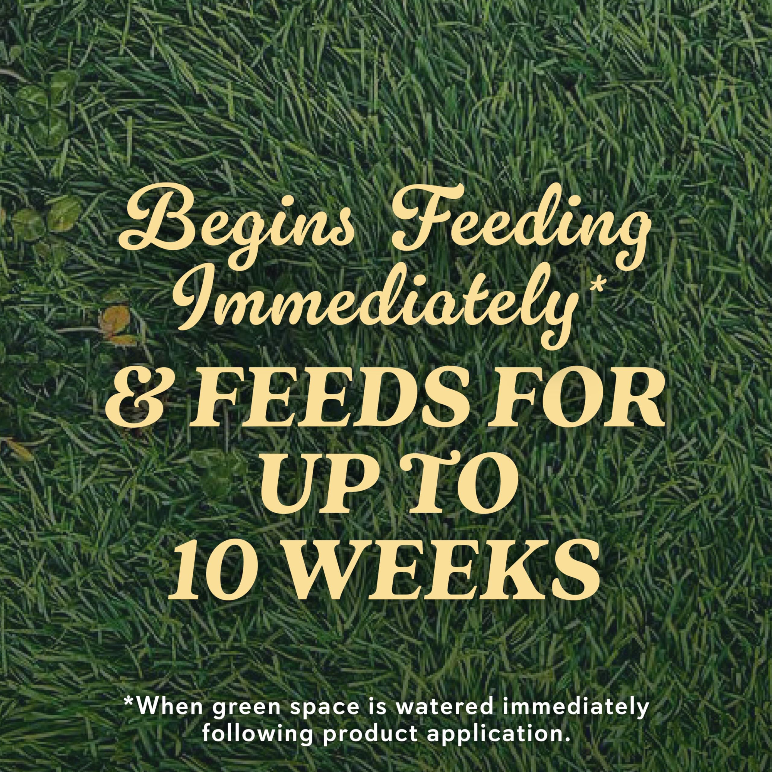 Scotts Natural Grass Food bag open showing ready to feed granules.