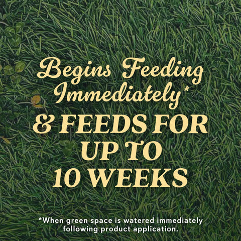 Scotts Natural Grass Food bag open showing ready to feed granules.