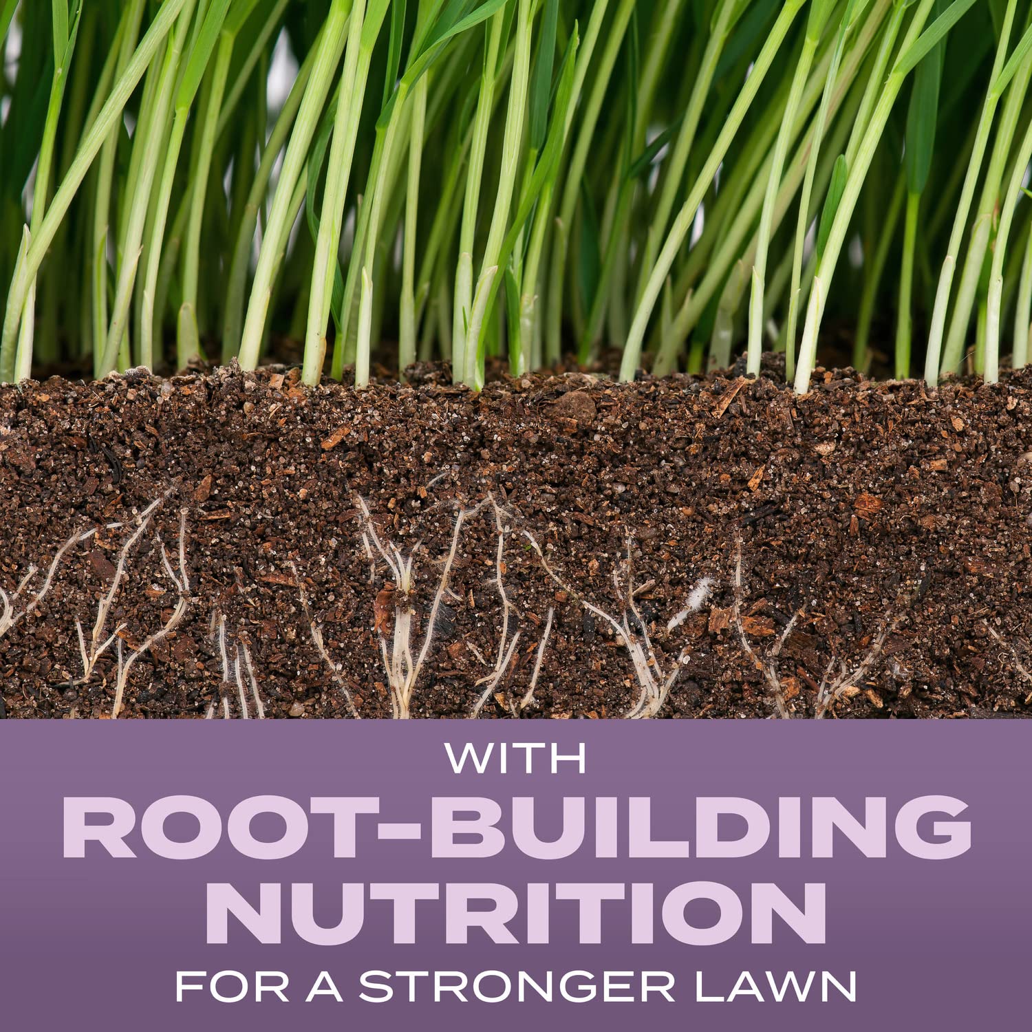 Scotts new lawn coverage 700 sq ft illustrates the area for a fresh start.