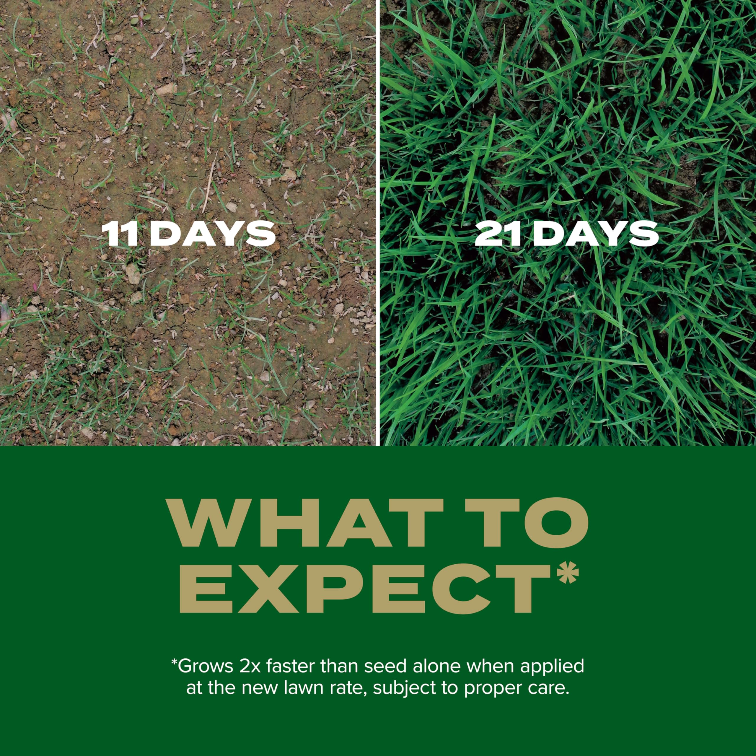Scotts Turf Builder Rapid Grass on new lawn setup with healthy soil.
