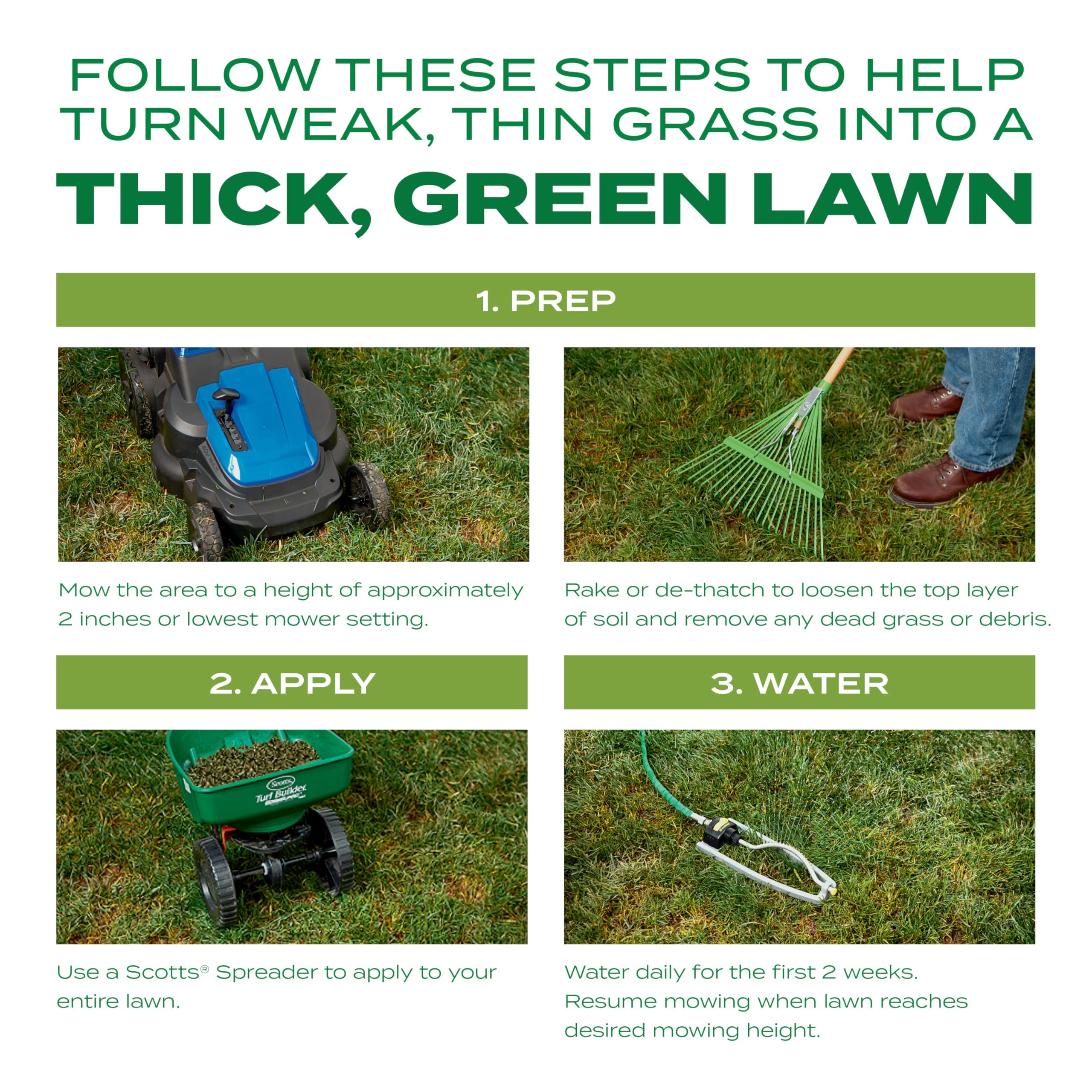 Scotts Overseed Lawn Spring Application highlights new growth in thin areas.