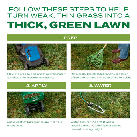 Scotts Overseed Lawn Spring Application highlights new growth in thin areas.