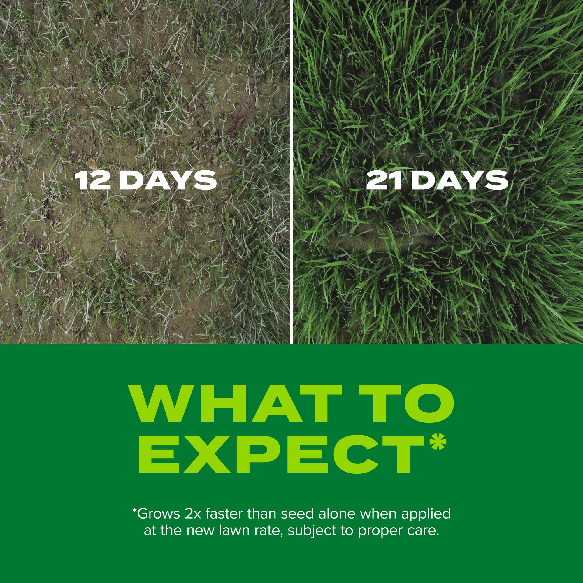 Overseeding bare areas to achieve thicker turf