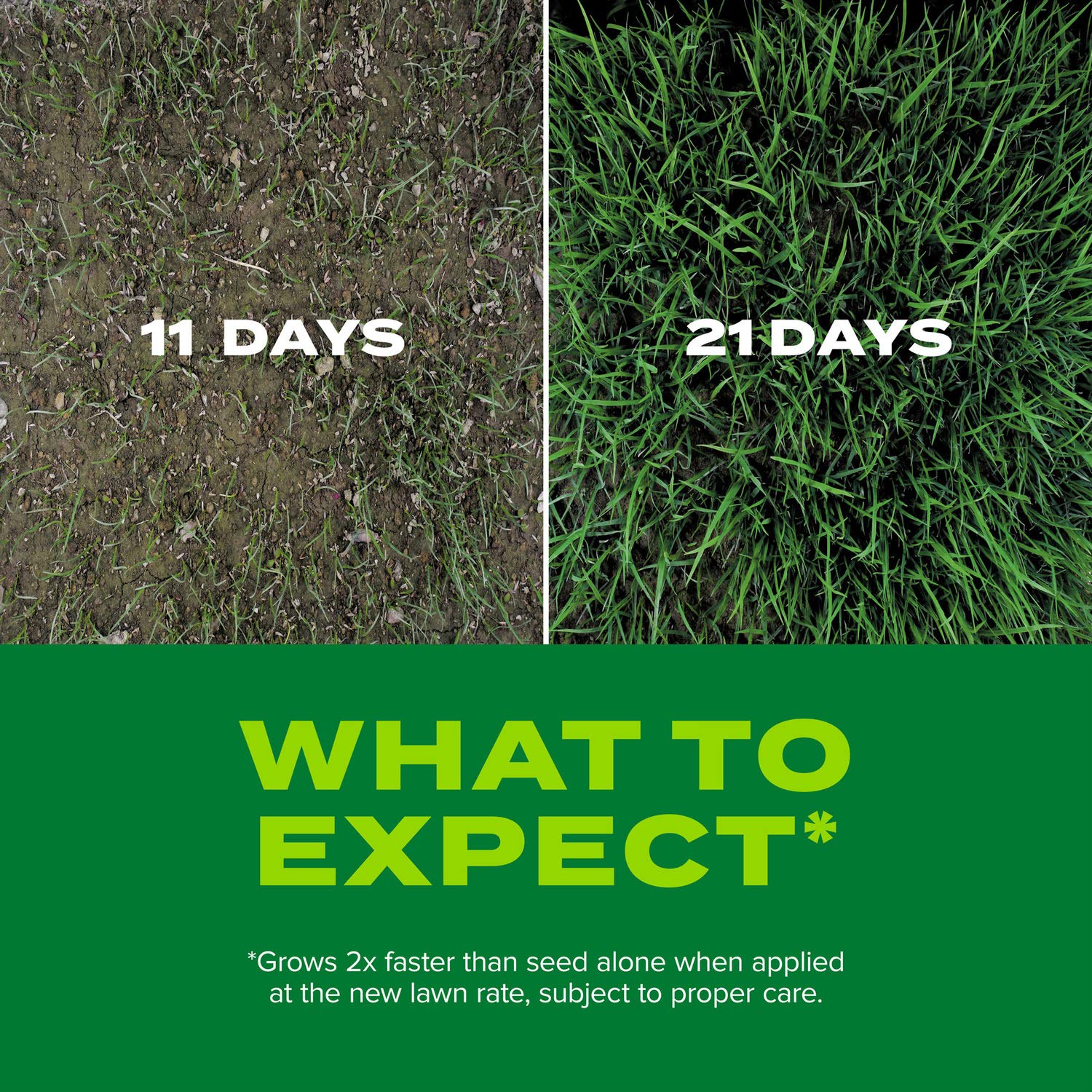 Overseeding large areas to create a thicker, greener lawn.