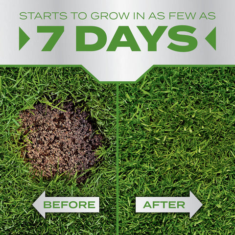 Scotts PatchMaster fertilizer with controlled-release nitrogen for steady growth.
