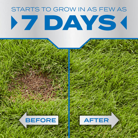 Scotts PatchMaster fertilizer component highlights controlled-release nitrogen for thick growth.