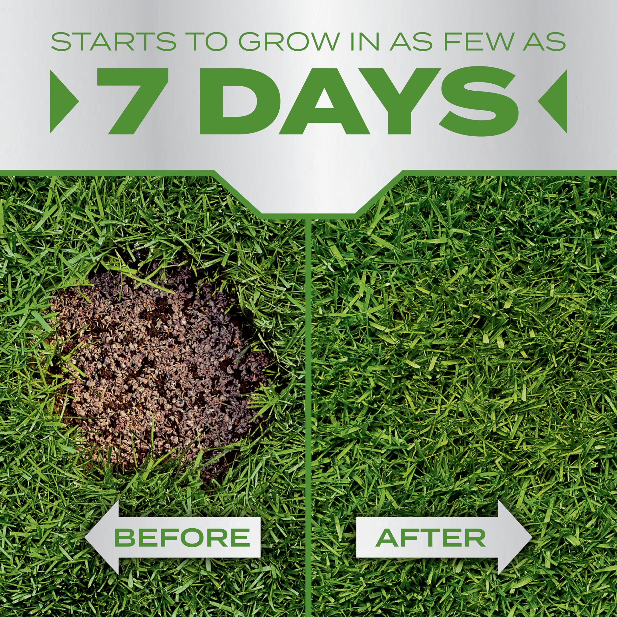 Scotts PatchMaster tall fescue seed blend designed to blend with your lawn