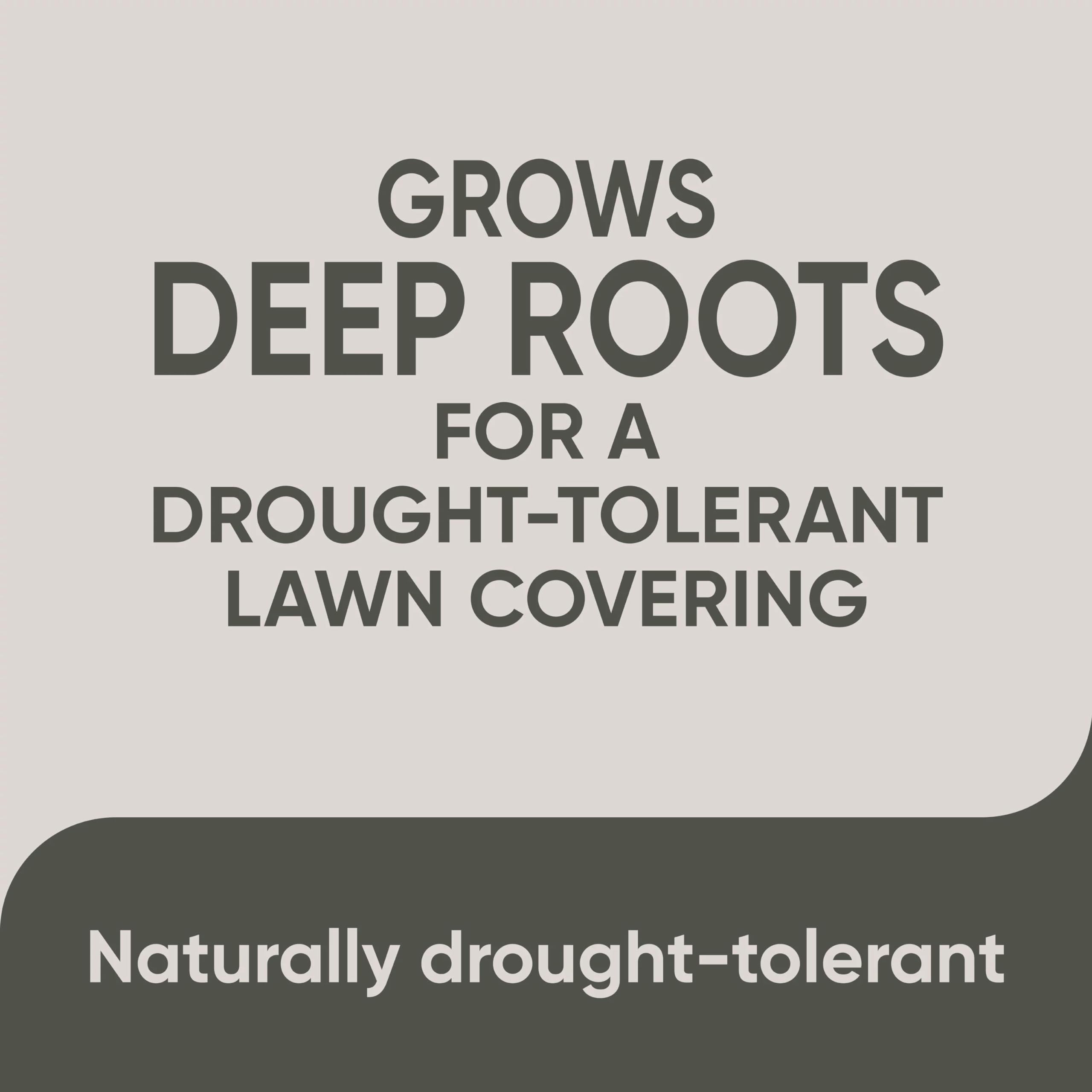 New lawn setup image showing 340 sq ft coverage capacity per bag.