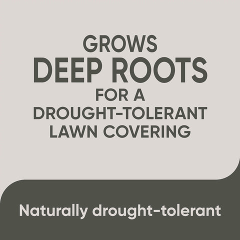 New lawn setup image showing 340 sq ft coverage capacity per bag.