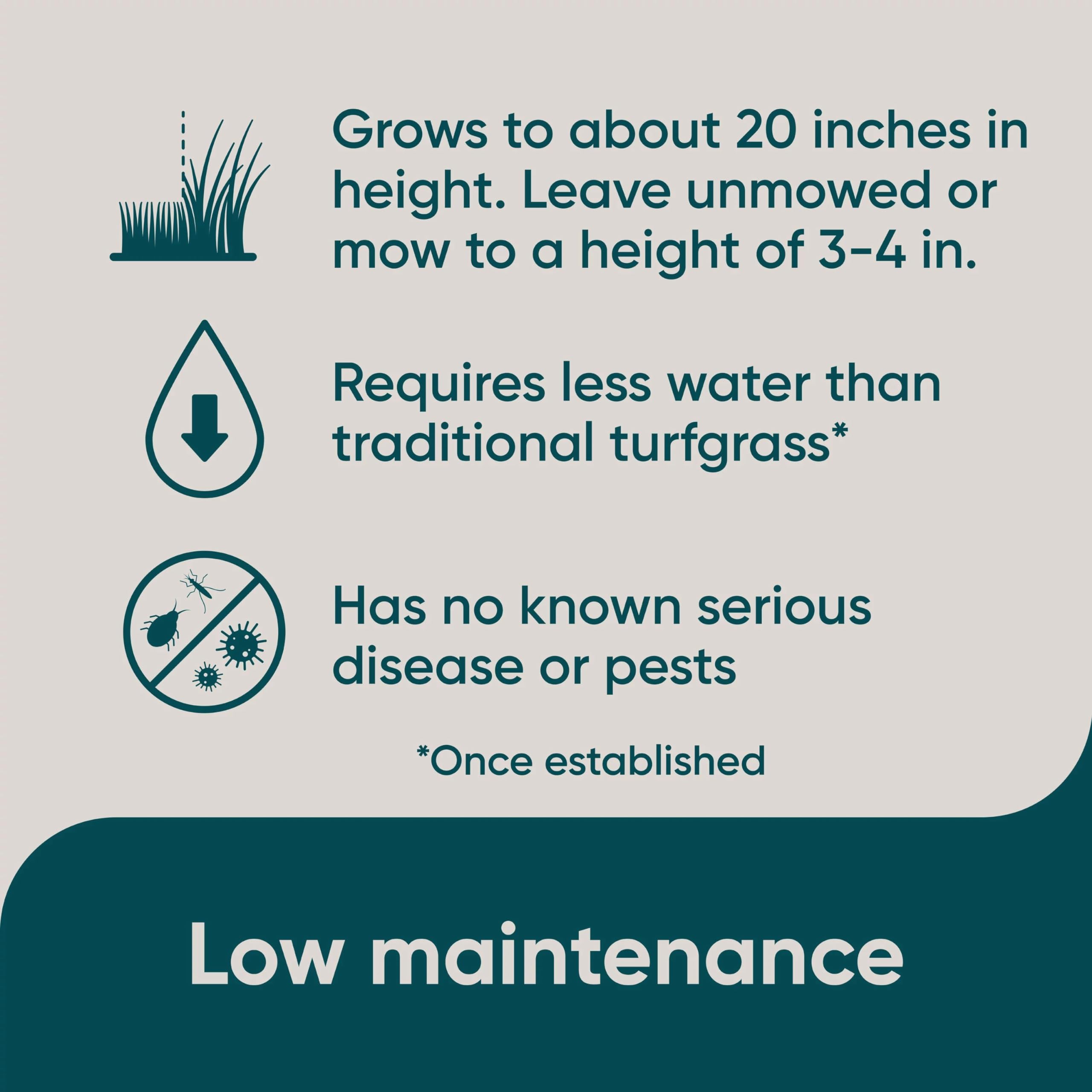 Overseeding process illustrating 685 sq ft potential for existing lawns.