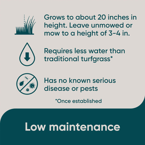 Overseeding process illustrating 685 sq ft potential for existing lawns.