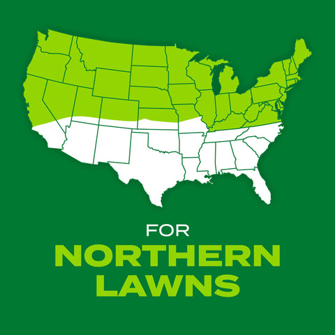Spreading seed and fertilizer on lawn for dense growth