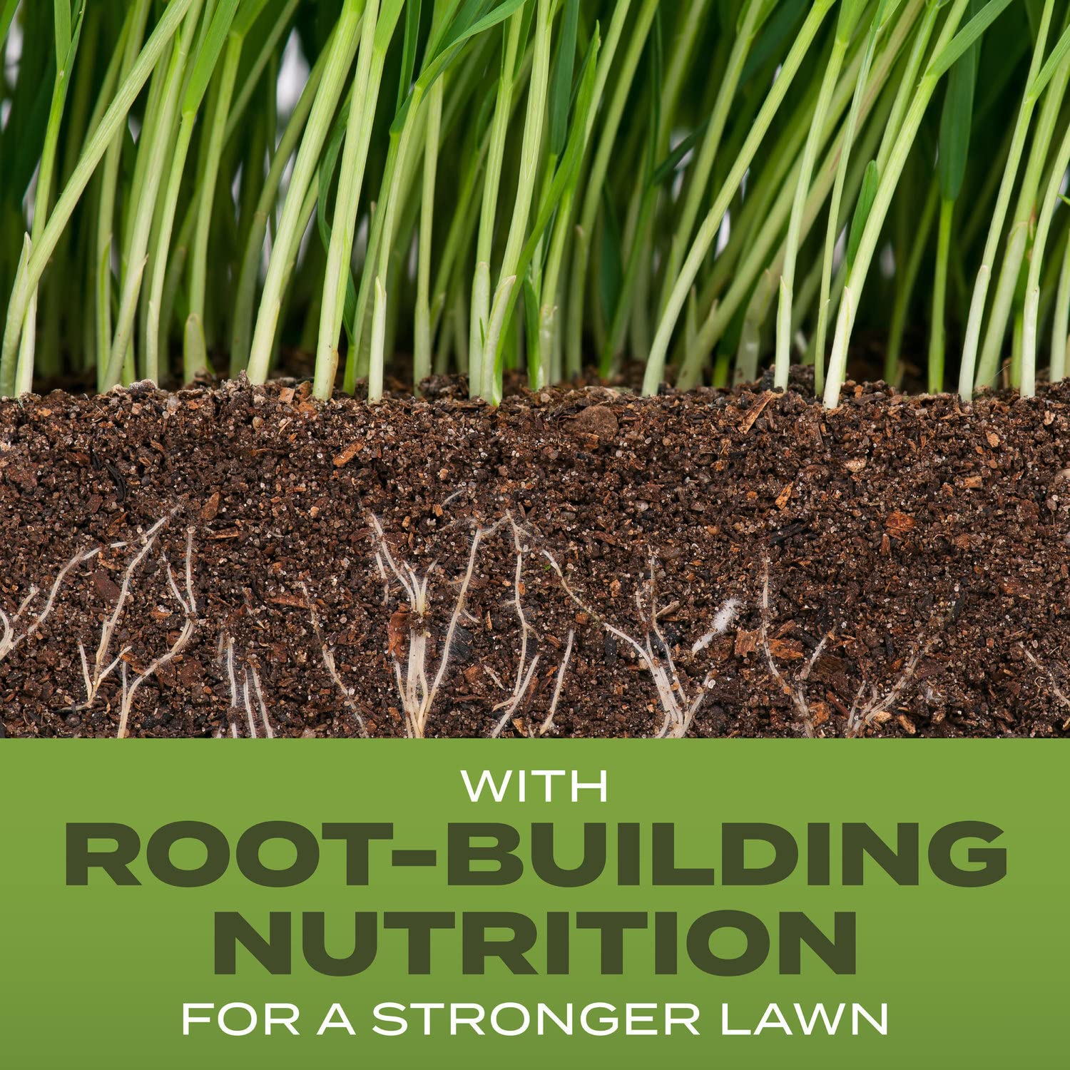 Scotts Root-Building Nutrition promotes deeper, stronger root growth