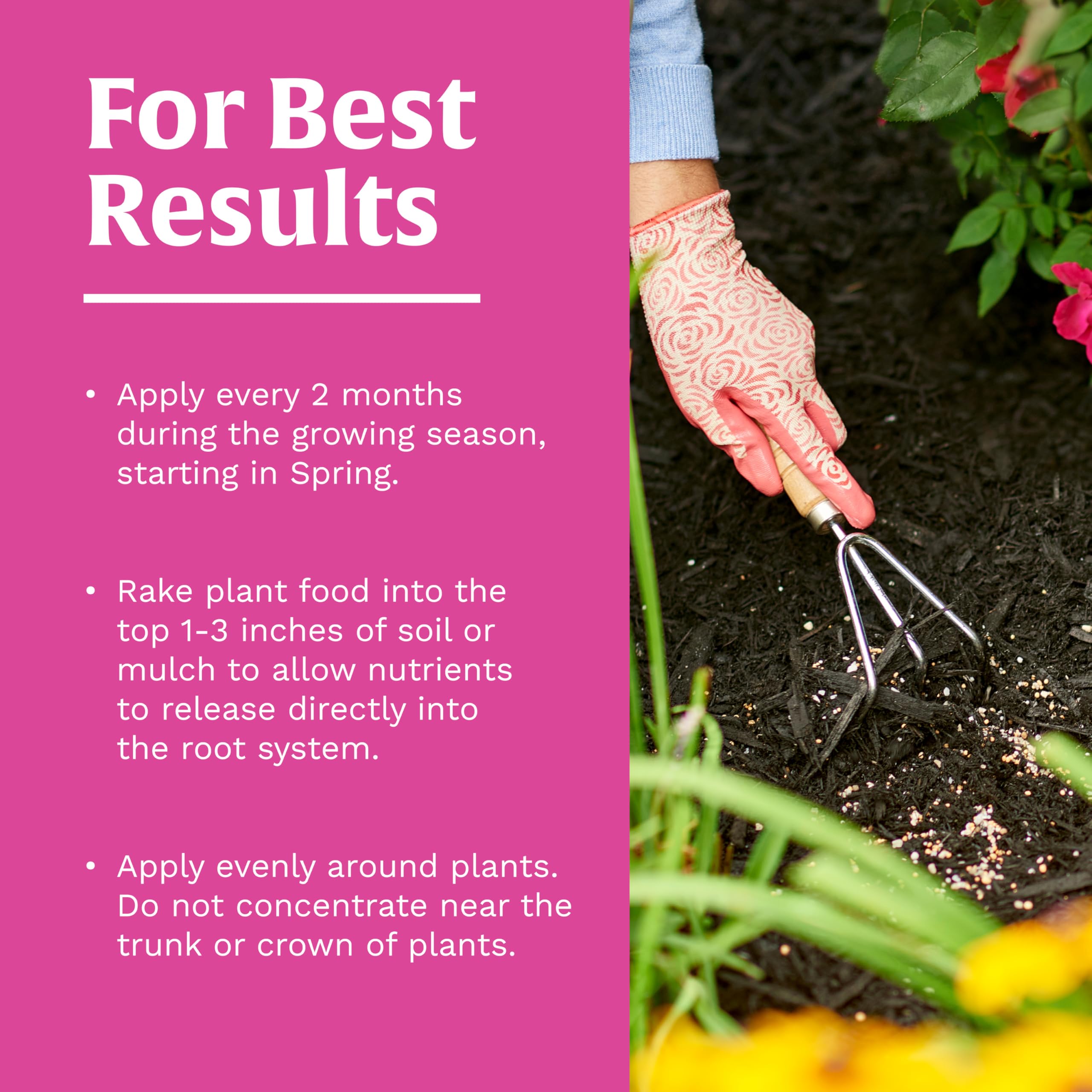 Scotts Rose & Bloom garden scene shows rich color from steady nutrition.