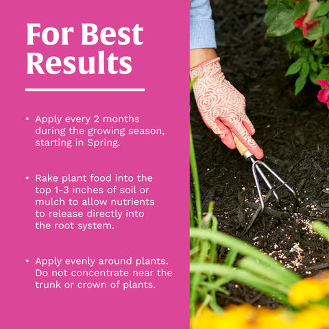 Scotts Rose & Bloom garden scene shows rich color from steady nutrition.