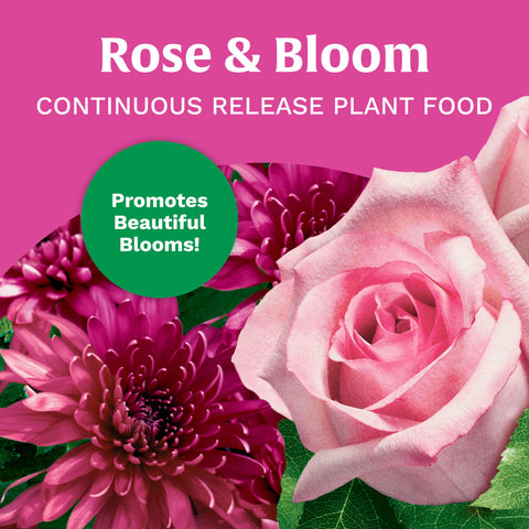 Scotts Rose & Bloom granules closeup ready to feed flowering plants.