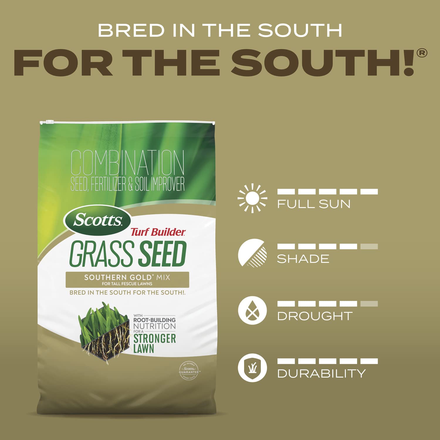 Overseeding a thinning lawn with Scotts Southern Gold mix.