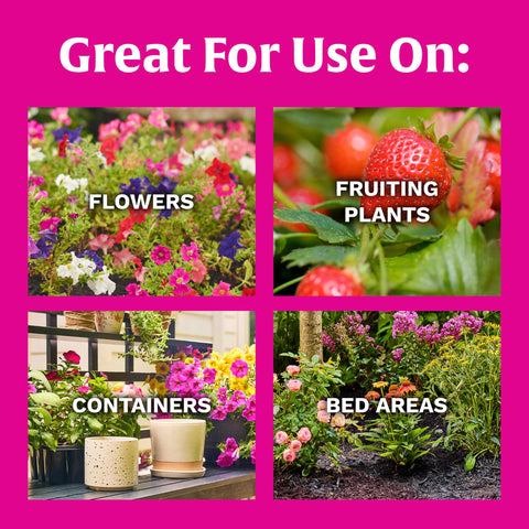 Scotts Super Bloom fruiting plants in garden bed receive steady nutrients for better fruit set.