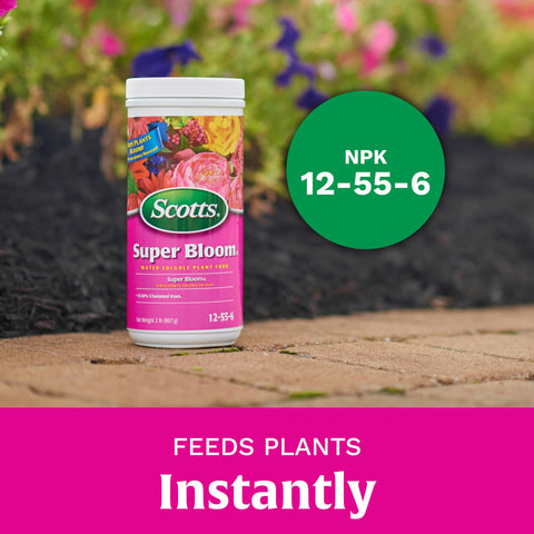Scotts Super Bloom measuring scoop shows precise dosing for consistent results.