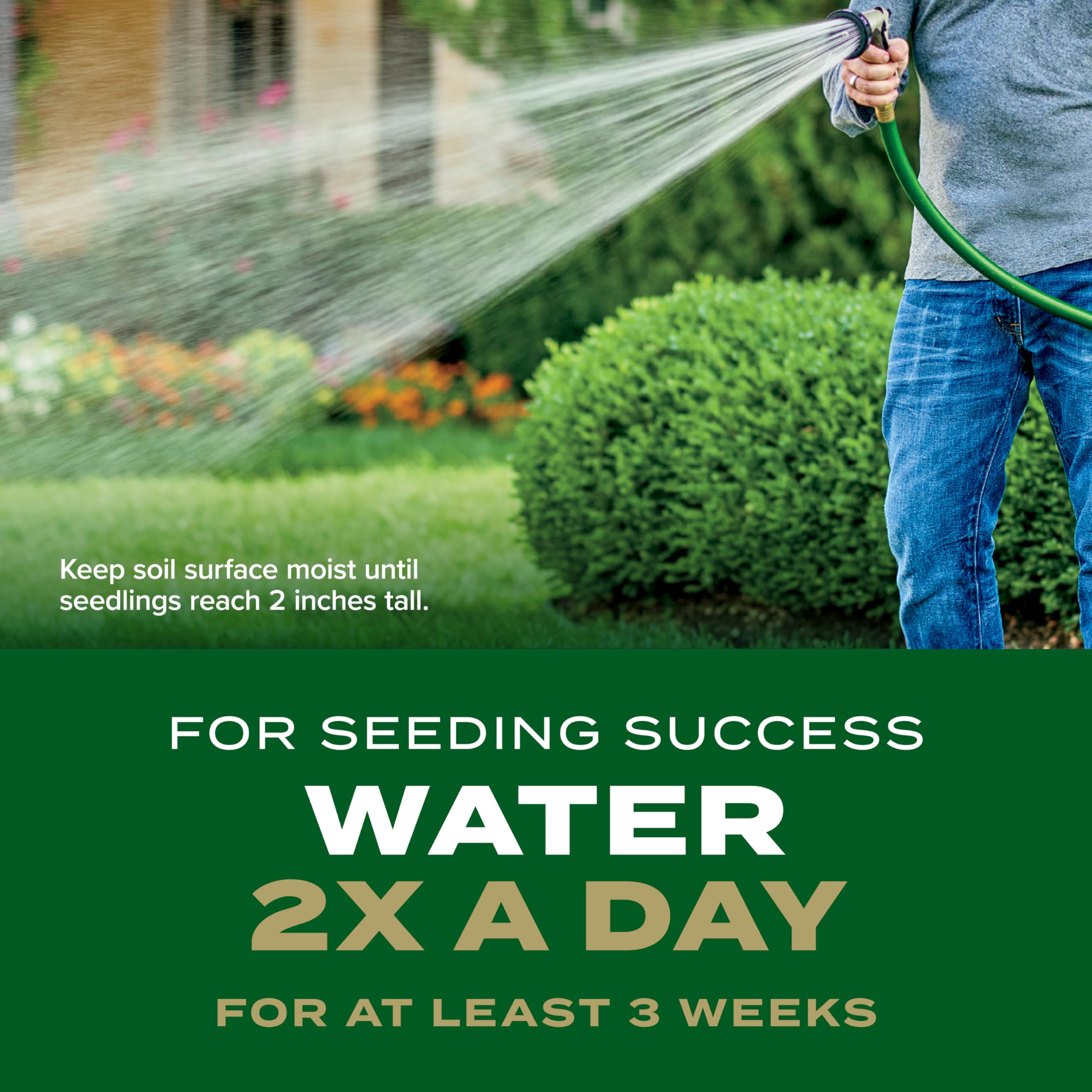 Scotts Turf Builder Rapid Grass leads to a lush green lawn look.