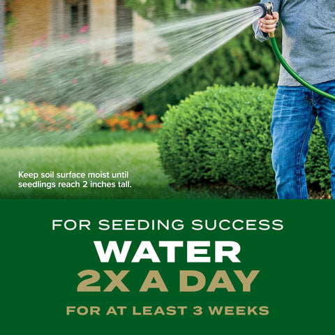 Scotts Turf Builder Rapid Grass leads to a lush green lawn look.