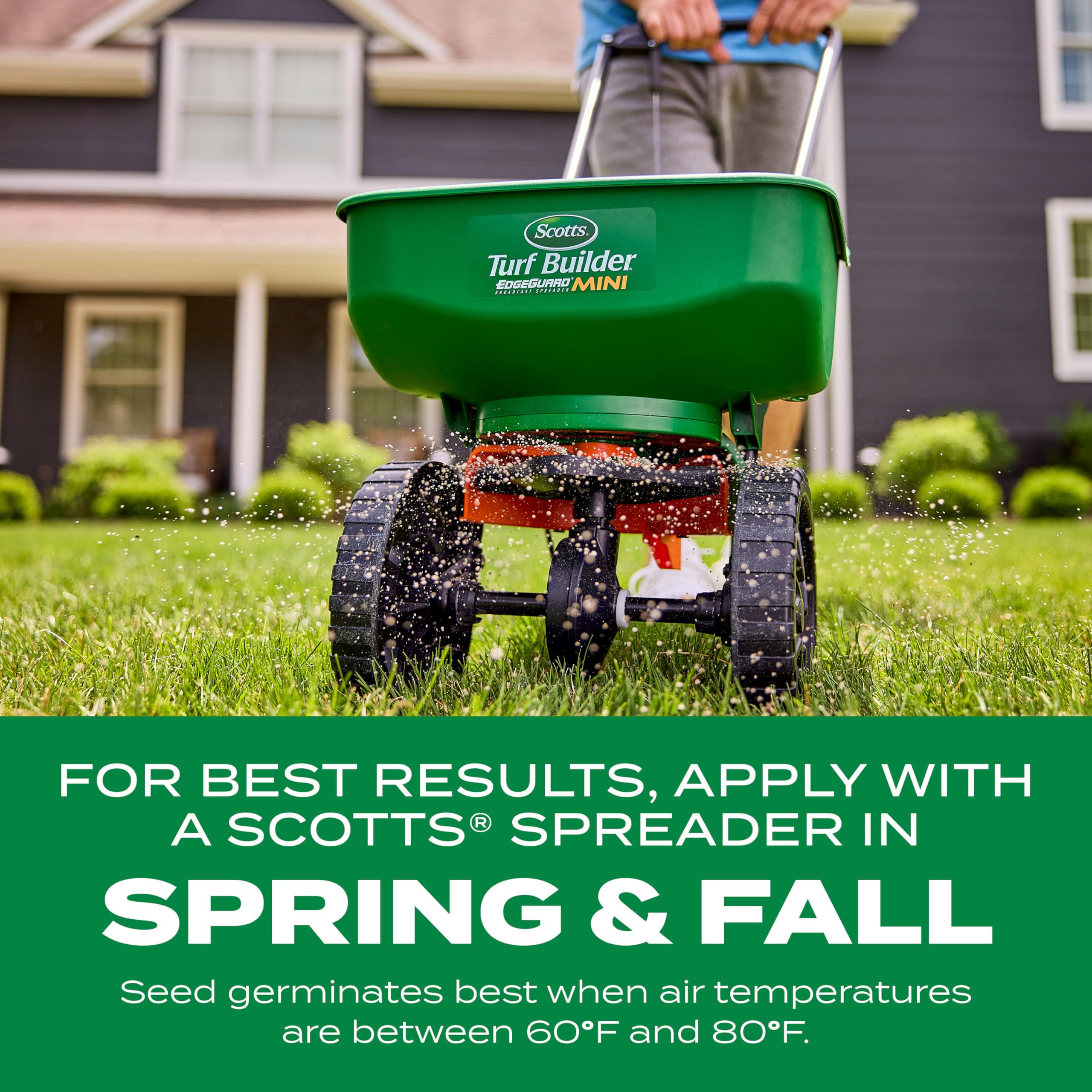 Late-spring application of Scotts Thick'R Lawn for gap filling.