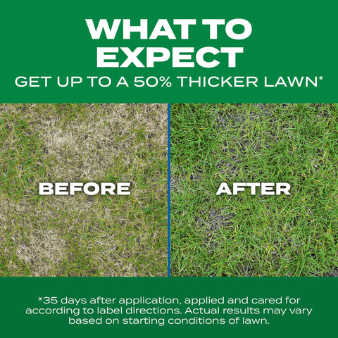 Scotts Thick'R Lawn late-summer application for continued density.