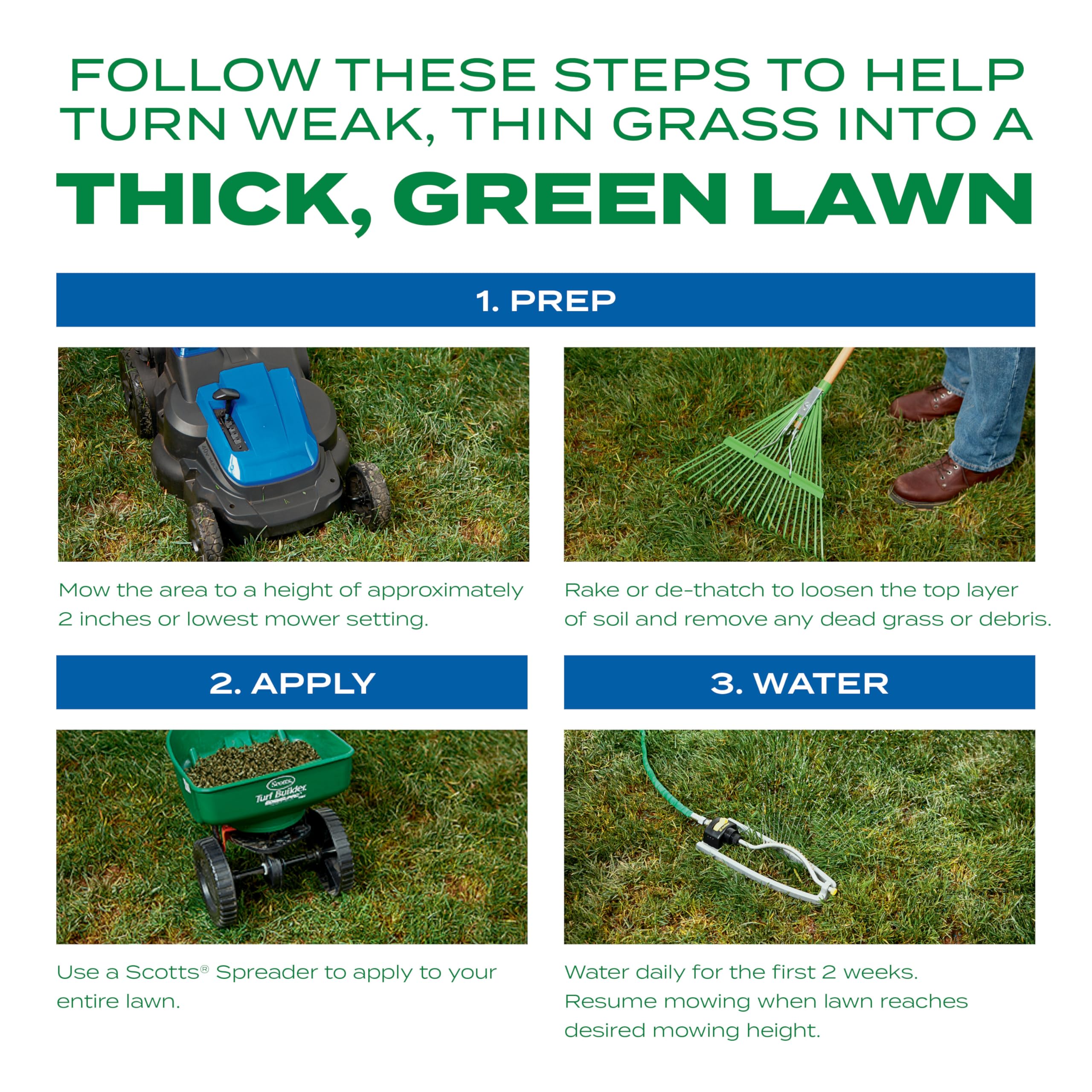 Scotts Thick'R Lawn soil improver promoting deeper roots.
