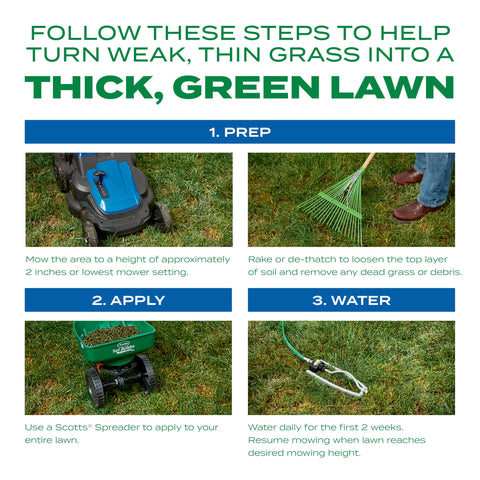Scotts Thick'R Lawn soil improver promoting deeper roots.