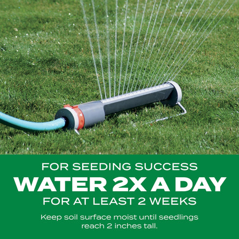 Scotts Turf Builder 3-in-1 lawn care concept.