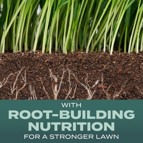 Scotts Turf Builder Dense Shade coverage 200 sq ft for a new lawn