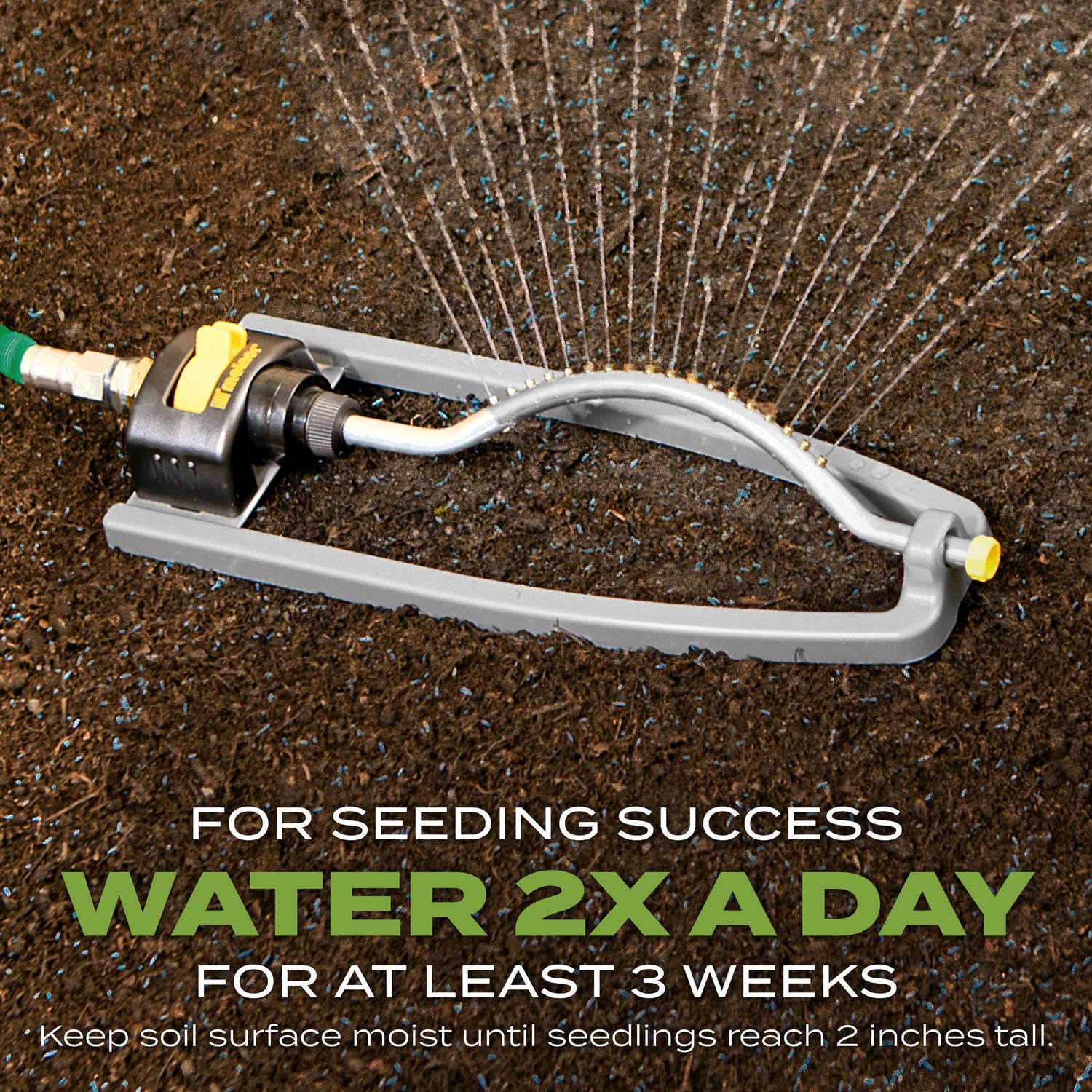 Root-Building Nutrition combines fertilizer and soil improver for deep roots.
