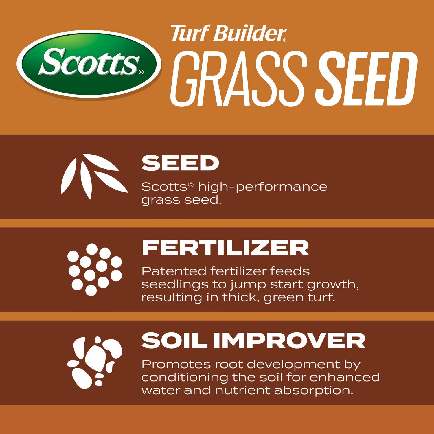 Scotts Turf Builder full-sun lawn demonstrates durable growth.