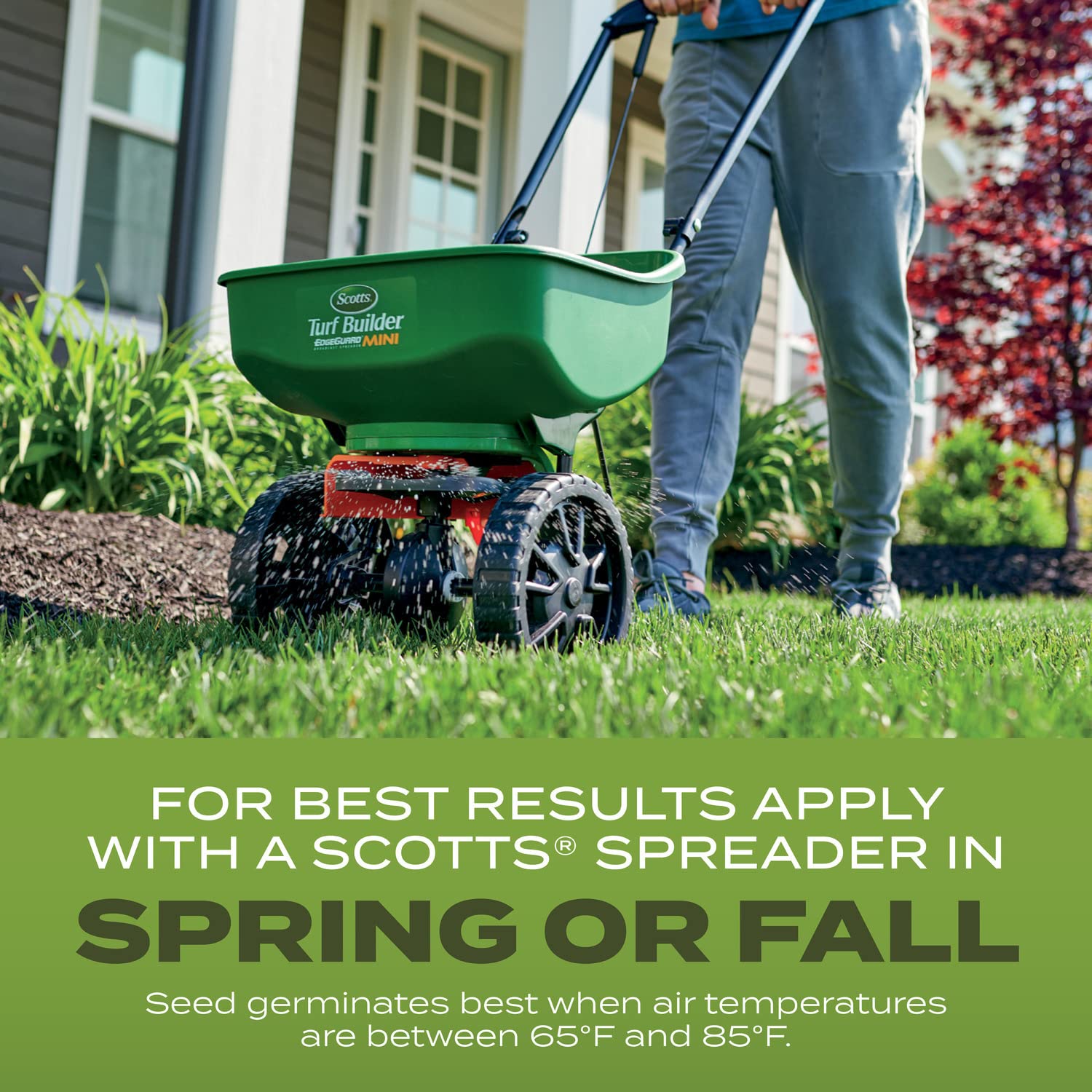 Versatile Scotts mix suitable for full sun and partial shade for year-round greens.