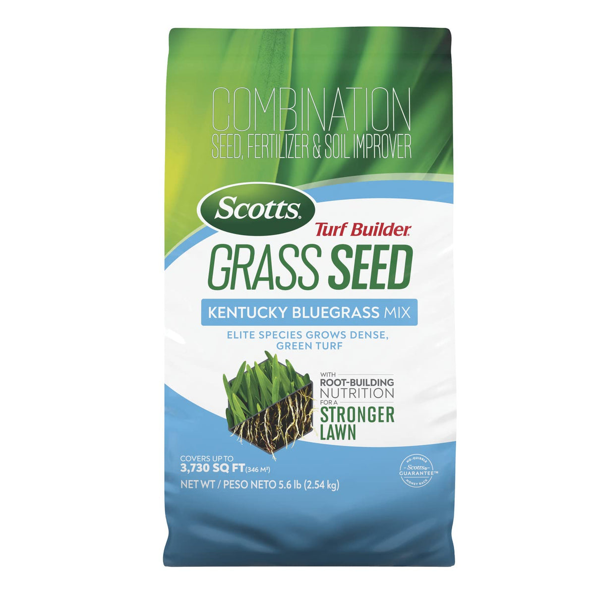 Scotts Turf Builder Grass Seed Kentucky Bluegrass Mix bag closeup showing dense, green lawn potential
