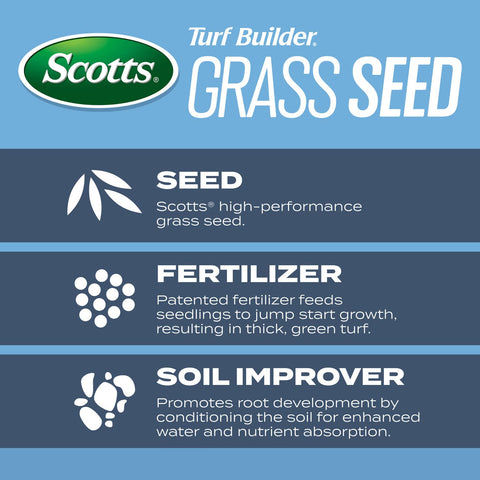 Scotts Turf Builder green lawn sprout indicating quick establishment