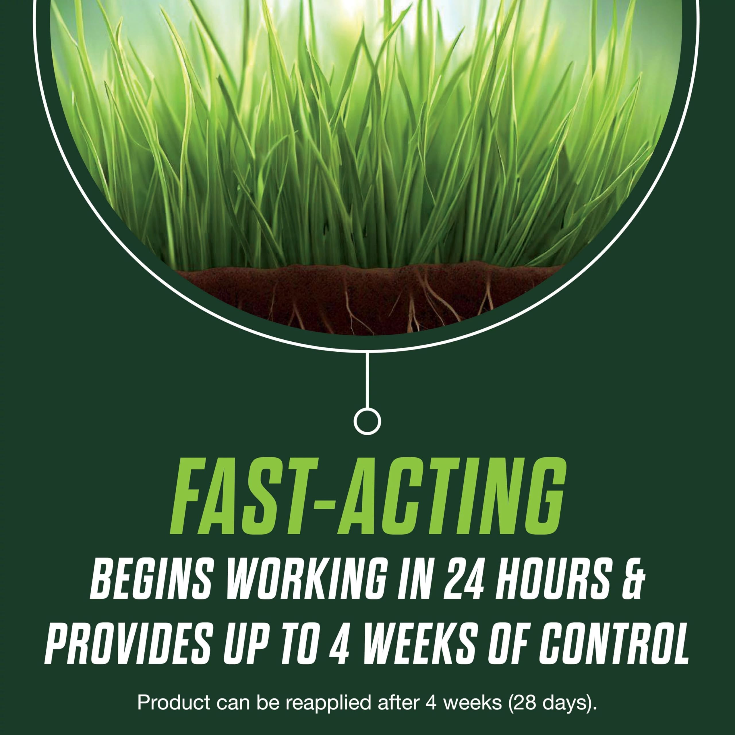 Scotts Turf Builder Healthy Plus quick start within 24 hours for greener lawn