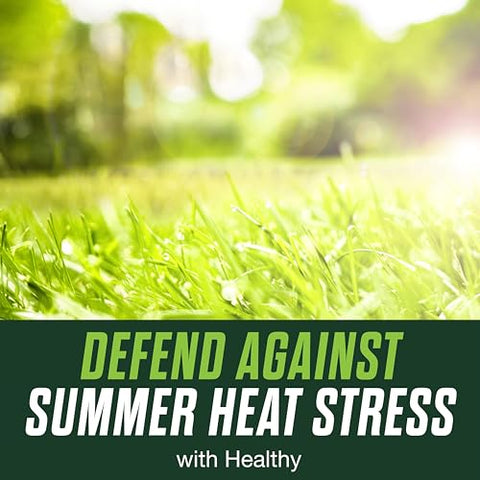 Scotts Turf Builder Healthy Plus fungicide label highlighting disease prevention for vigorous turf.
