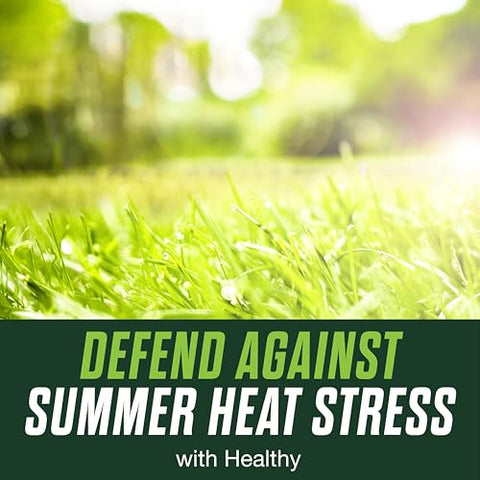 Scotts Turf Builder Healthy Plus results visible in lawn appearance
