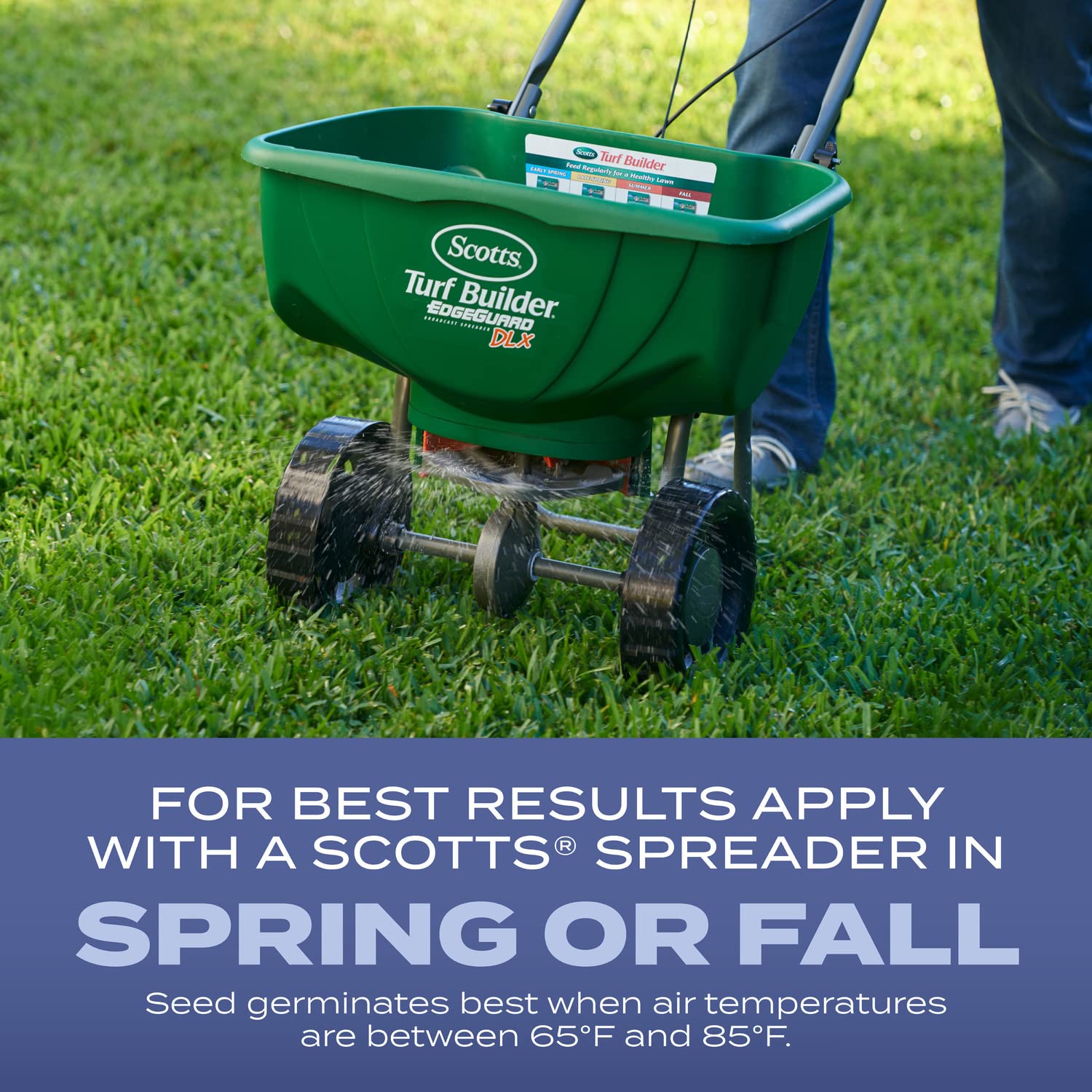 Scotts Turf Builder Heat-Tolerant Blue Mix overseeding in progress for thicker turf