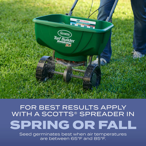 Scotts Turf Builder Heat-Tolerant Blue Mix overseeding in progress for thicker turf