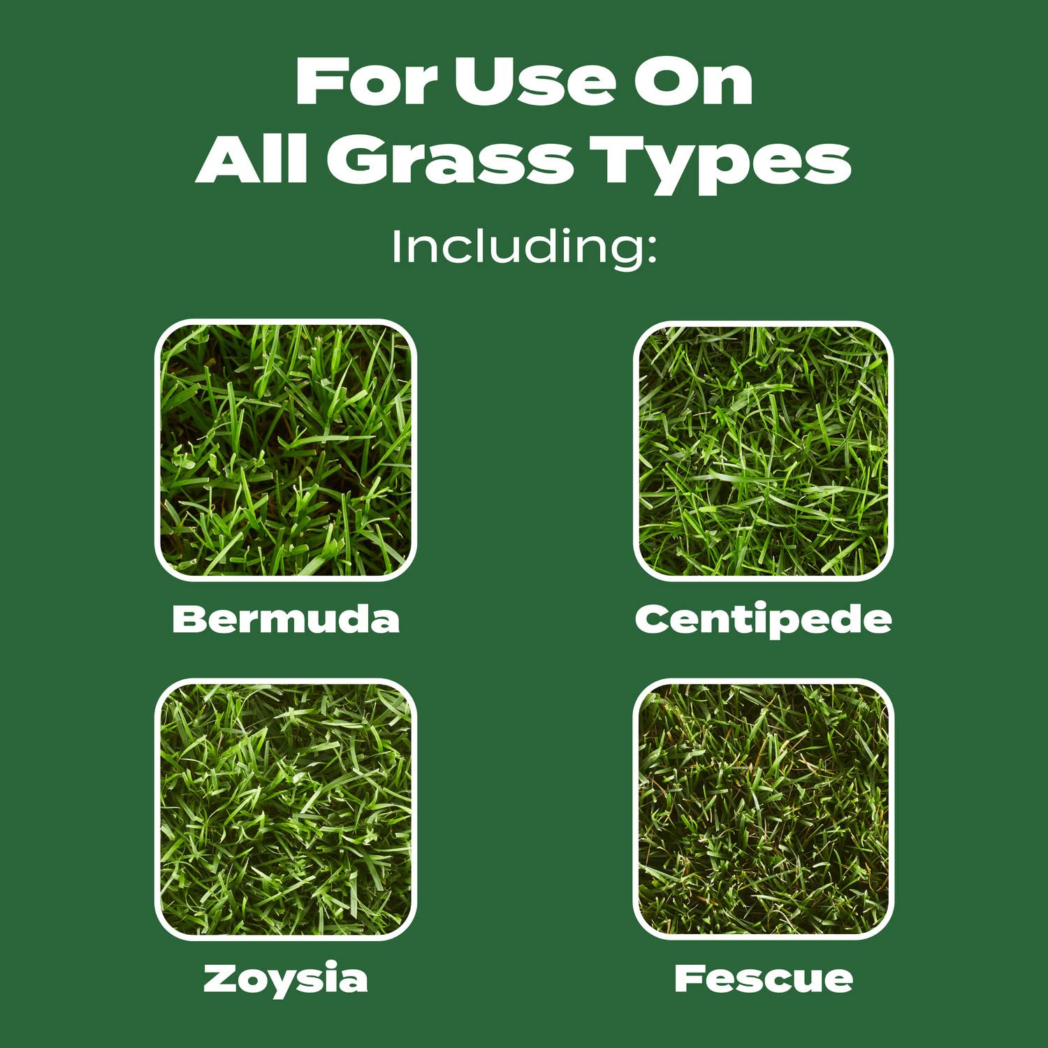 Fertilizer nutrients supporting deeper roots with Scotts Turf Builder