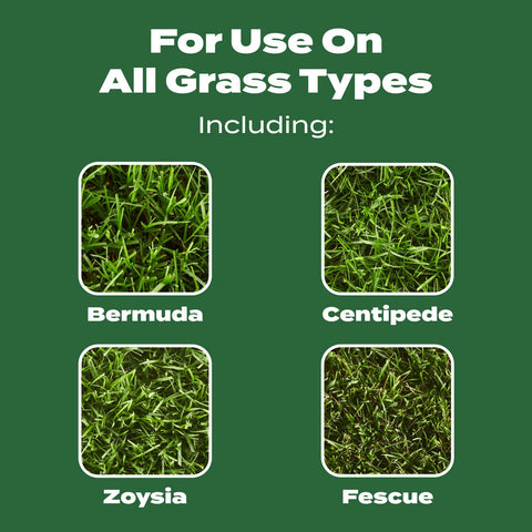 Fertilizer nutrients supporting deeper roots with Scotts Turf Builder