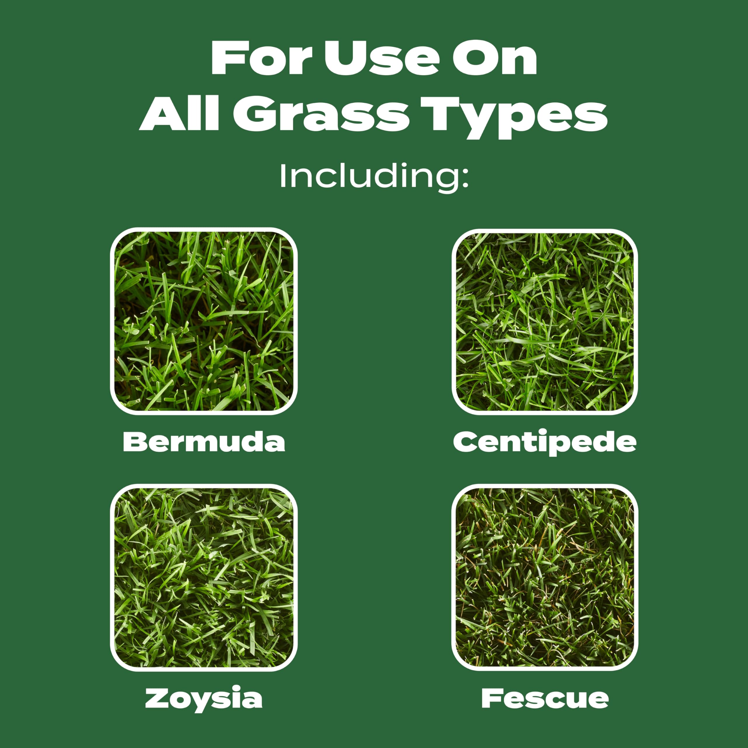 Scotts Turf Builder Lawn Food can be applied to wet or dry lawns