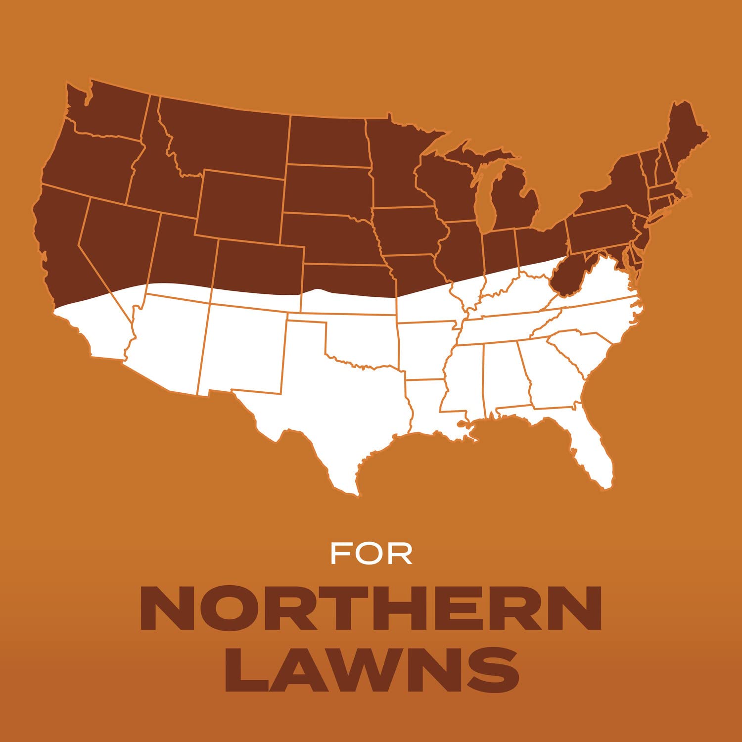 Scotts Turf Builder overseeding coverage expands lawn thickness.