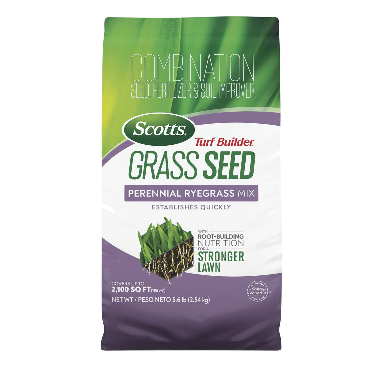 Scotts Turf Builder perennial ryegrass seed bag ready for quick establishment and dense turf.