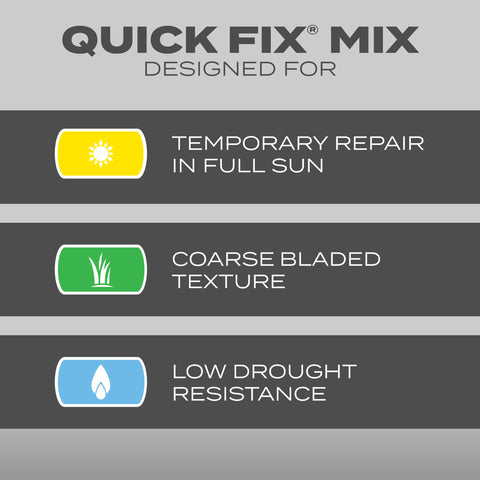 Scotts Quick Fix germination visible within 4–7 days in sunny lawn